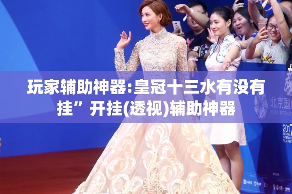 玩家辅助神器:皇冠十三水有没有挂”开挂(透视)辅助神器