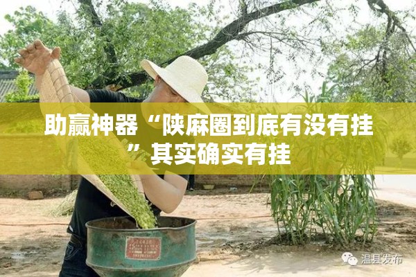 助赢神器“陕麻圈到底有没有挂”其实确实有挂