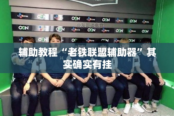 辅助教程“老铁联盟辅助器	”其实确实有挂