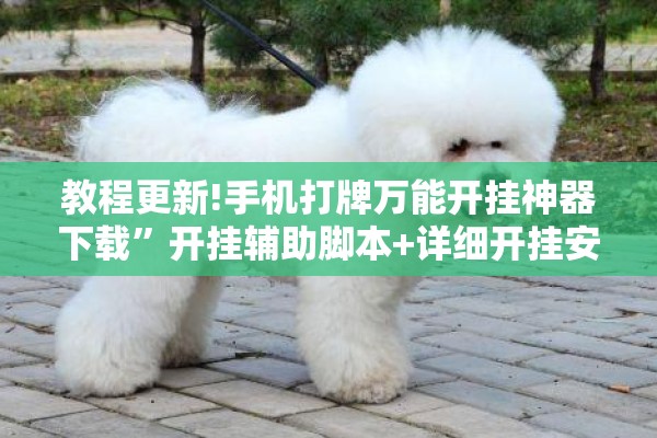 教程更新!手机打牌万能开挂神器下载	”开挂辅助脚本+详细开挂安装教程