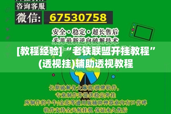 [教程经验]“老铁联盟开挂教程”(透视挂)辅助透视教程