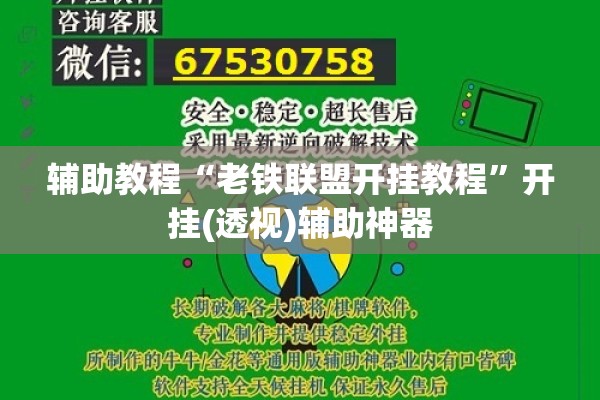 辅助教程“老铁联盟开挂教程	”开挂(透视)辅助神器