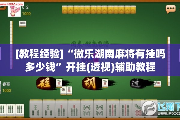 [教程经验]“微乐湖南麻将有挂吗多少钱”开挂(透视)辅助教程
