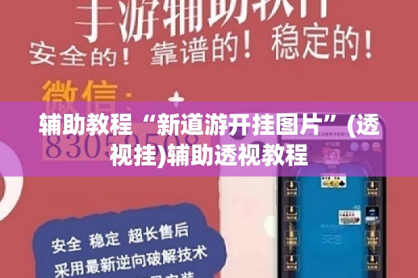 辅助教程“新道游开挂图片”(透视挂)辅助透视教程