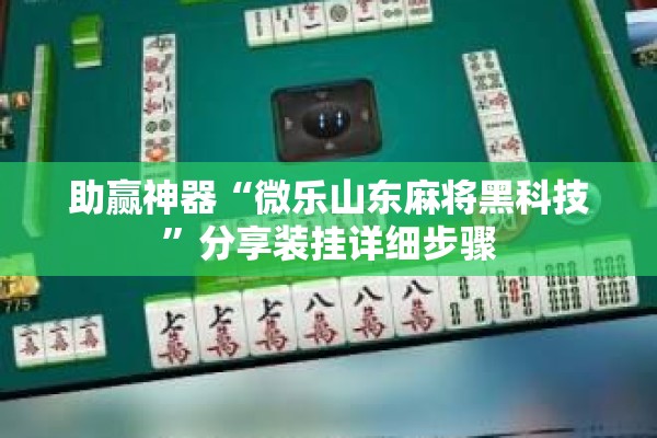 助赢神器“微乐山东麻将黑科技	”分享装挂详细步骤