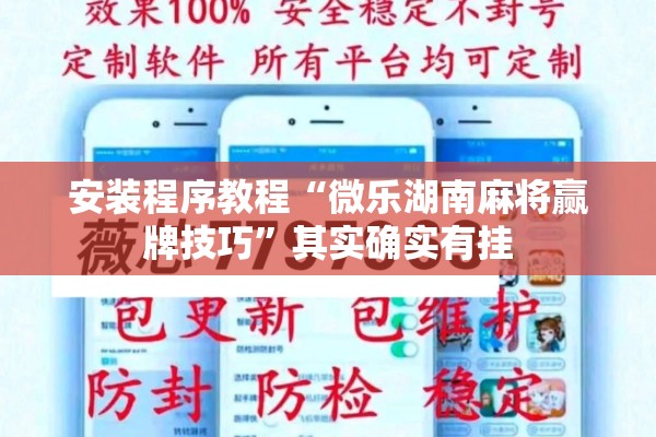 安装程序教程“微乐湖南麻将赢牌技巧”其实确实有挂