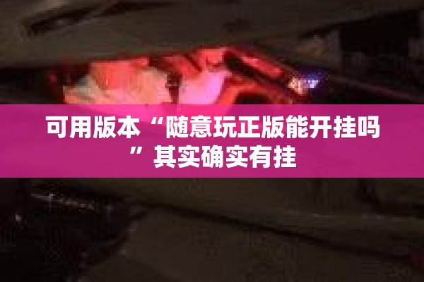 可用版本“随意玩正版能开挂吗”其实确实有挂