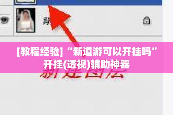 [教程经验]“新道游可以开挂吗”开挂(透视)辅助神器
