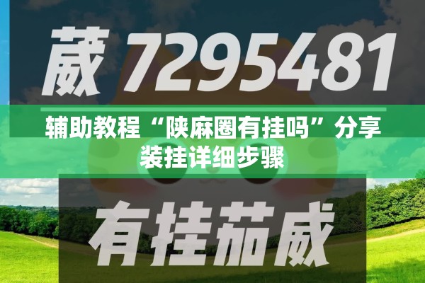 辅助教程“陕麻圈有挂吗”分享装挂详细步骤
