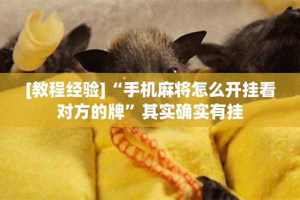 [教程经验]“手机麻将怎么开挂看对方的牌”其实确实有挂