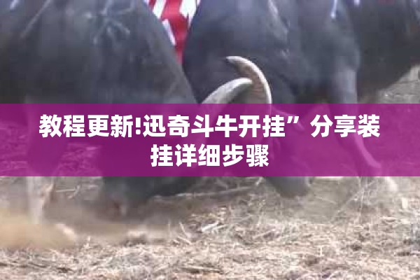 教程更新!迅奇斗牛开挂”分享装挂详细步骤