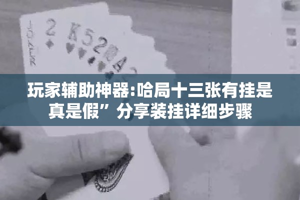 玩家辅助神器:哈局十三张有挂是真是假”分享装挂详细步骤