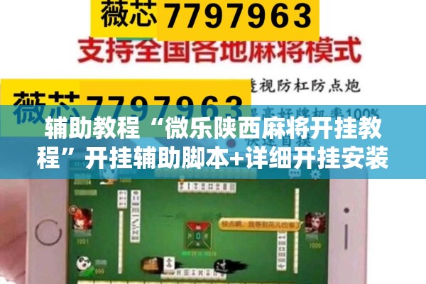 辅助教程“微乐陕西麻将开挂教程”开挂辅助脚本+详细开挂安装教程