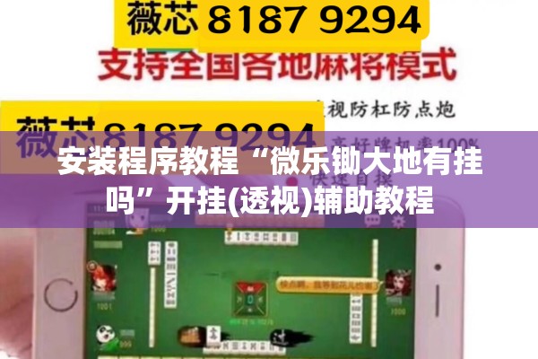 安装程序教程“微乐锄大地有挂吗”开挂(透视)辅助教程