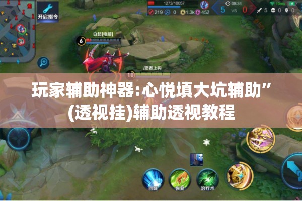 玩家辅助神器:心悦填大坑辅助	”(透视挂)辅助透视教程