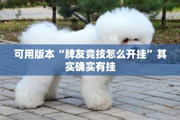 可用版本“牌友竞技怎么开挂	”其实确实有挂
