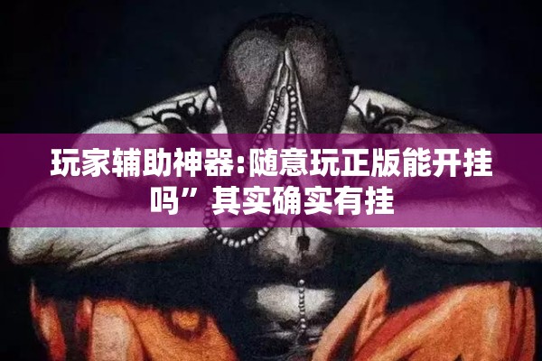 玩家辅助神器:随意玩正版能开挂吗	”其实确实有挂