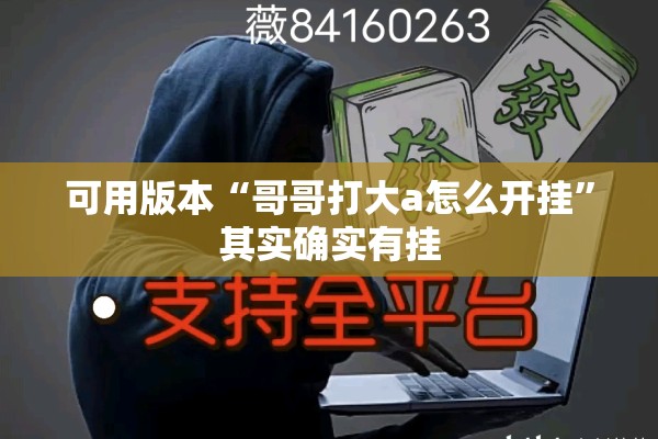 可用版本“哥哥打大a怎么开挂	”其实确实有挂