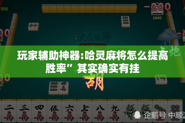 玩家辅助神器:哈灵麻将怎么提高胜率	”其实确实有挂