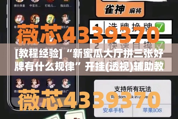 [教程经验]“新蜜瓜大厅拼三张好牌有什么规律”开挂(透视)辅助教程