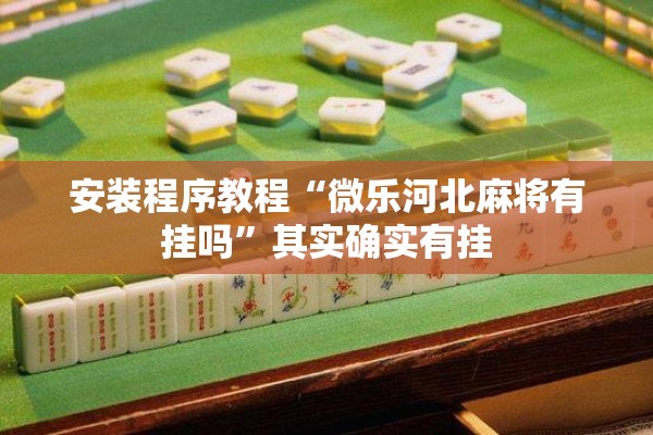 安装程序教程“微乐河北麻将有挂吗	”其实确实有挂