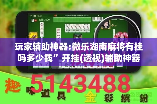 玩家辅助神器:微乐湖南麻将有挂吗多少钱	”开挂(透视)辅助神器