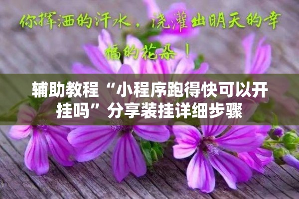 辅助教程“小程序跑得快可以开挂吗”分享装挂详细步骤