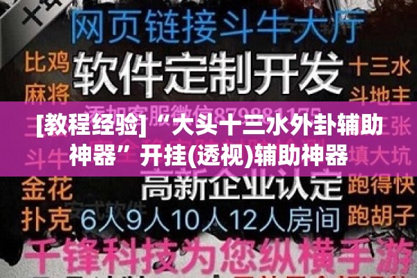 [教程经验]“大头十三水外卦辅助神器”开挂(透视)辅助神器
