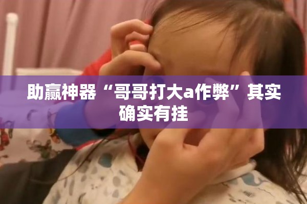助赢神器“哥哥打大a作弊”其实确实有挂