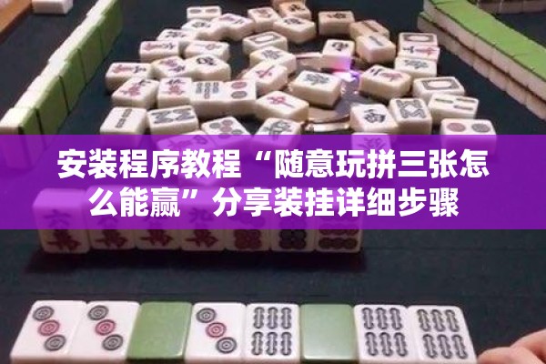 安装程序教程“随意玩拼三张怎么能赢”分享装挂详细步骤
