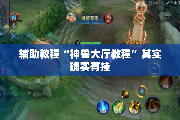 辅助教程“神兽大厅教程”其实确实有挂
