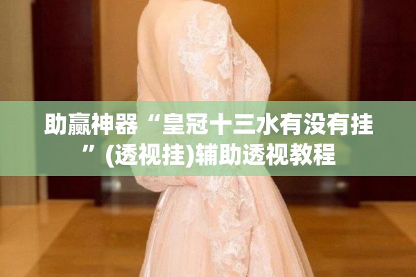 助赢神器“皇冠十三水有没有挂	”(透视挂)辅助透视教程