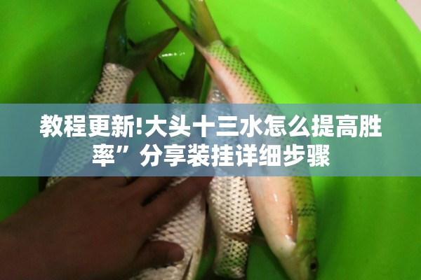 教程更新!大头十三水怎么提高胜率	”分享装挂详细步骤