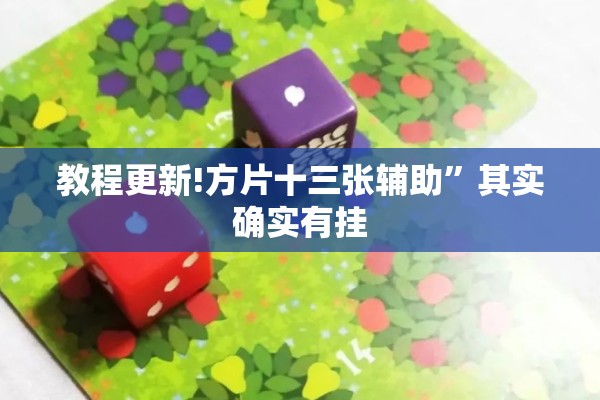 教程更新!方片十三张辅助	”其实确实有挂