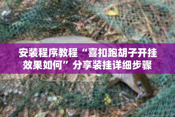 安装程序教程“喜扣跑胡子开挂效果如何”分享装挂详细步骤