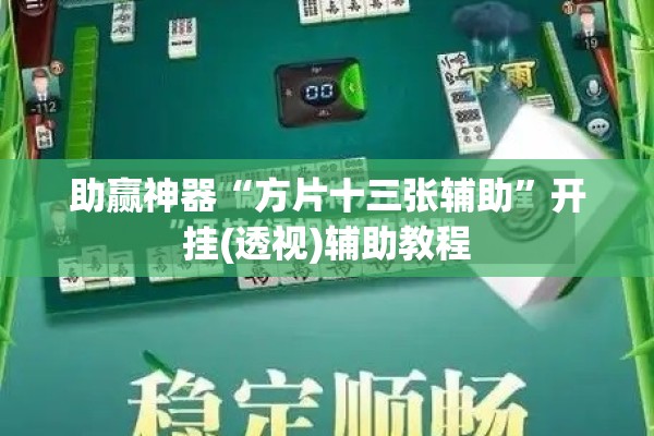 助赢神器“方片十三张辅助”开挂(透视)辅助教程