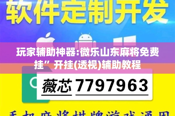 玩家辅助神器:微乐山东麻将免费挂	”开挂(透视)辅助教程