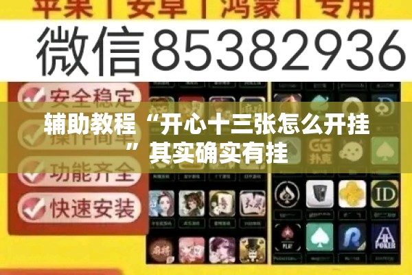 辅助教程“开心十三张怎么开挂”其实确实有挂