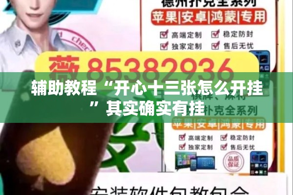 辅助教程“开心十三张怎么开挂”其实确实有挂