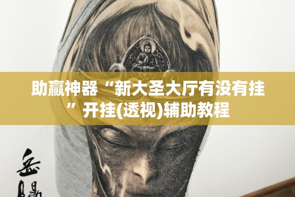 助赢神器“新大圣大厅有没有挂”开挂(透视)辅助教程