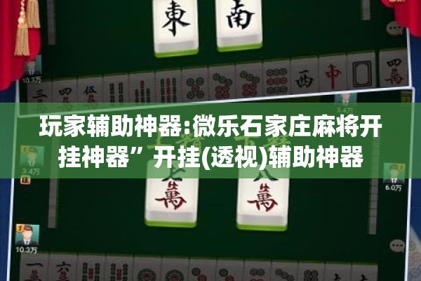 玩家辅助神器:微乐石家庄麻将开挂神器	”开挂(透视)辅助神器