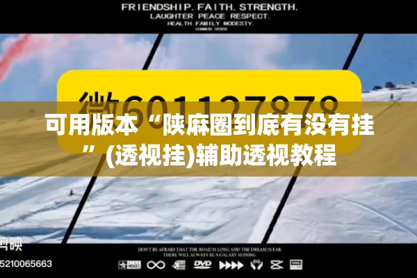 可用版本“陕麻圈到底有没有挂	”(透视挂)辅助透视教程