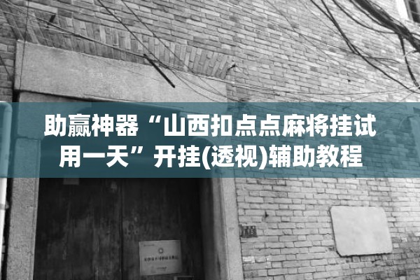 助赢神器“山西扣点点麻将挂试用一天	”开挂(透视)辅助教程