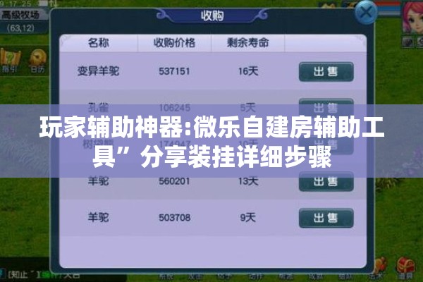 玩家辅助神器:微乐自建房辅助工具	”分享装挂详细步骤