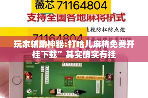 玩家辅助神器:打哈儿麻将免费开挂下载”其实确实有挂