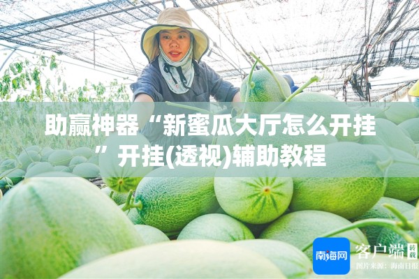 助赢神器“新蜜瓜大厅怎么开挂”开挂(透视)辅助教程
