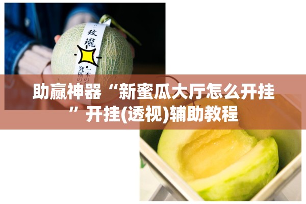 助赢神器“新蜜瓜大厅怎么开挂	”开挂(透视)辅助教程