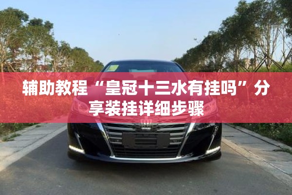 辅助教程“皇冠十三水有挂吗	”分享装挂详细步骤
