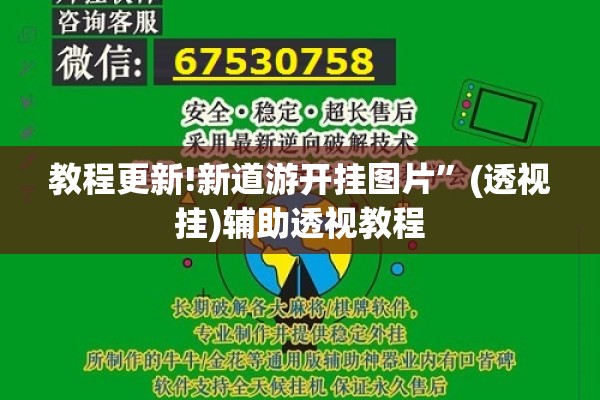 教程更新!新道游开挂图片”(透视挂)辅助透视教程