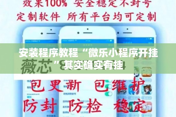 安装程序教程“微乐小程序开挂”其实确实有挂